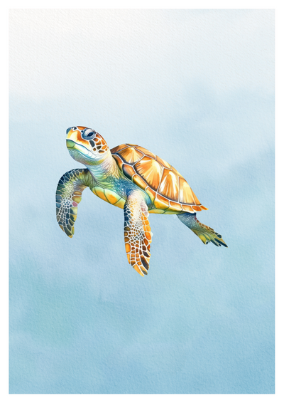 K15 "Meeresgleiter" - Aquarell Schildkröten-Poster
